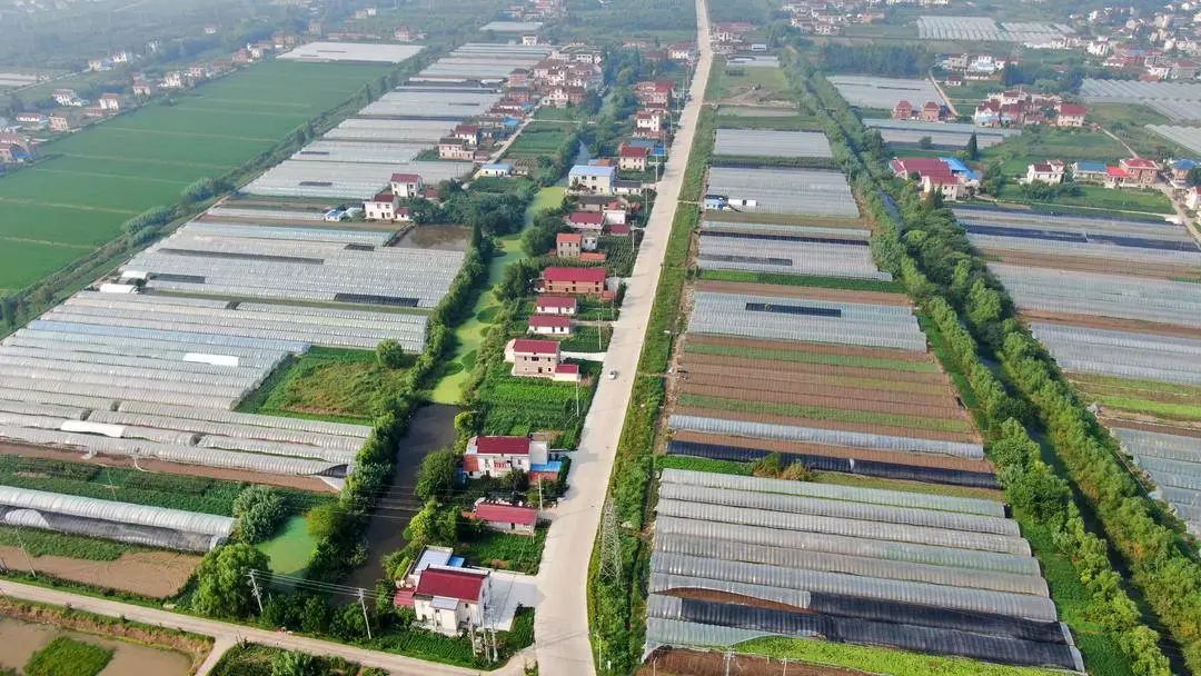 5南通市推荐路通八方,州聚万家农路品牌之开沙岛旅游线.jpg